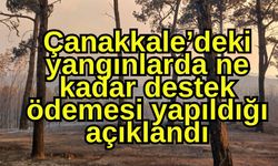 Çanakkale’deki yangınlarda ne kadar destek ödemesi yapıldığı açıklandı