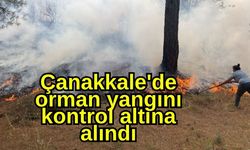 Çanakkale'de orman yangını kontrol altına alındı
