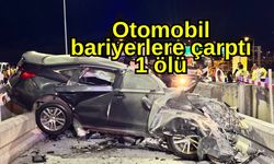 Otomobil bariyerlere çarptı, 1 ölü