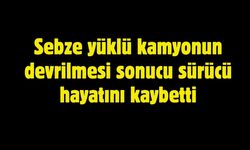 Sebze yüklü kamyonun devrilmesi sonucu sürücü hayatını kaybetti