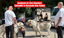 Çanakkale’de Sürü Köpekleri İzlenebilir ve Korunaklı Hale Geliyor