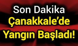 Çanakkale’de yangın başladı!
