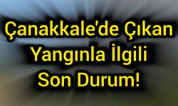 Çanakkale'de çıkan yangınla ilgili son durum!