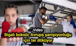 Bigalı boksör, Avrupa şampiyonluğu için ter döküyor