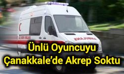 Ünlü oyuncuyu Çanakkale’de akrep soktu