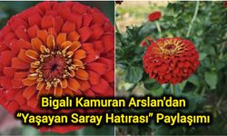 Bigalı Kamuran Arslan'dan “Yaşayan Saray Hatırası” Paylaşımı