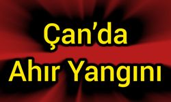 Çanakkale Çan’da ahır yangını