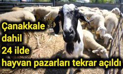 Çanakkale dahil 24 ilde hayvan pazarları tekrar açıldı