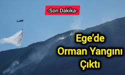 Ege’de orman yangını çıktı