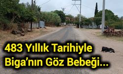 483 Yıllık Tarihiyle Biga’nın Göz Bebeği...