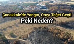 Çanakkale'de Yangın, Orayı Teğet Geçti: Peki Neden?