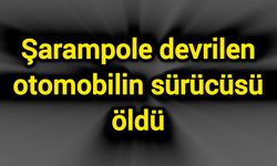 Şarampole devrilen otomobilin sürücüsü öldü