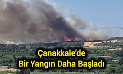 Çanakkale'de Bir Yangın Daha Başladı