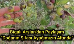 Bigalı Arslan’dan Paylaşım: “Doğanın Şifası Ayağımızın Altında”
