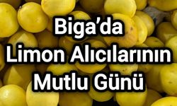 Biga’da Limon Alıcılarının Mutlu günü