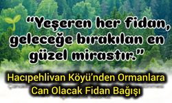 Hacıpehlivan Köyü’nden Ormanlara Can Olacak Fidan Bağışı
