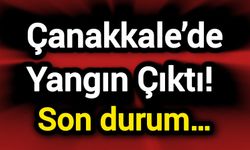 Çanakkale’de Yangın Çıktı! Son durum…