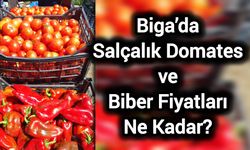 Biga’da Salçalık Domates ve Biber Fiyatları Ne Kadar?