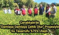 Çanakkale’de “Damlaya Damlaya Çeltik Olur” Projesiyle Su Tasarrufu %70’e Ulaştı