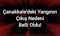 Çanakkale'deki yangının çıkış nedeni belli oldu!