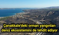 Çanakkale’deki orman yangınları deniz ekosistemini de tehdit ediyor