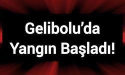 Çanakkale Gelibolu’da Yangın Başladı!