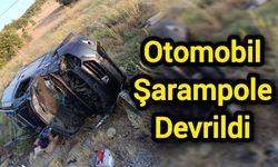 Otomobil şarampole devrildi