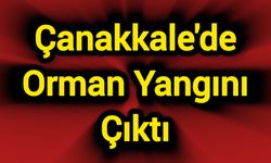 Çanakkale'de Orman Yangını Çıktı