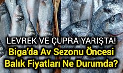 Biga’da Av Sezonu Öncesi Balık Fiyatları Ne Durumda?