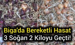 Çanakkale Biga'da Bereketli Hasat: 3 Soğan 2 Kiloyu Geçti!