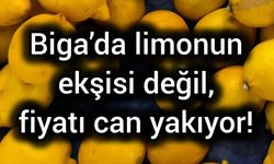 Biga’da limonun ekşisi değil, fiyatı can yakıyor!