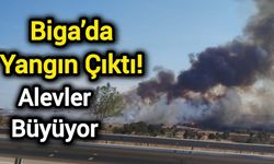 Biga’da yangın çıktı! Alevler büyüyor