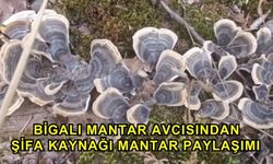 Bigalı Mantar Avcısından Şifa Kaynağı Mantar Paylaşımı