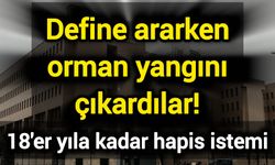 Define ararken orman yangını çıkardılar! 18'er yıla kadar hapis istemi