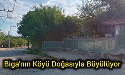Biga'nın Köyü Doğasıyla Büyülüyor
