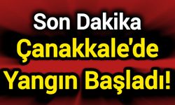 Son Dakika: Çanakkale'de yangın başladı!