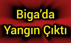 Çanakkale Biga’da Yangın Çıktı