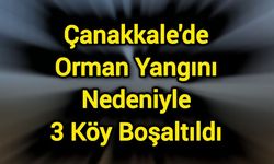 Çanakkale'de orman yangını nedeniyle 3 köy boşaltıldı