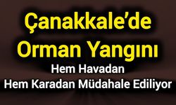 Çanakkale’de Orman Yangını: Hem Havadan Hem Karadan Müdahale Ediliyor