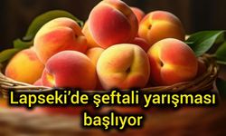 Çanakkale Lapseki’de şeftali yarışması başlıyor