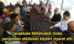 Çanakkale Milletvekili Gider, yangından etkilenen köyleri ziyaret etti