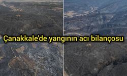 Çanakkale'de yangının acı bilançosu