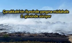 Çanakkale'nin ilçesinde yangına müdahale 2. gününde sürüyor