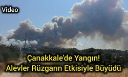 Çanakkale'de Yangın! Alevler rüzgarın etkisiyle büyüdü
