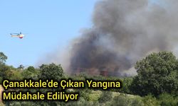 Çanakkale'de çıkan yangına havadan ve karadan müdahale ediliyor