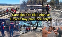 Çanakkale’de Ekili Alan ve Hayvan Kayıpları İnceleniyor