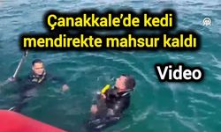 Çanakkale’de kedi mendirekte mahsur kaldı