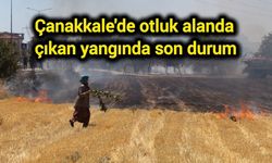 Çanakkale'de otluk alanda çıkan yangında son durum