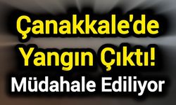 Çanakkale'de yangın çıktı! Müdahale ediliyor