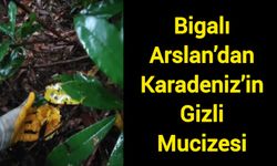 Bigalı Kamuran Arslan’dan Karadeniz’in Gizli Mucizesi